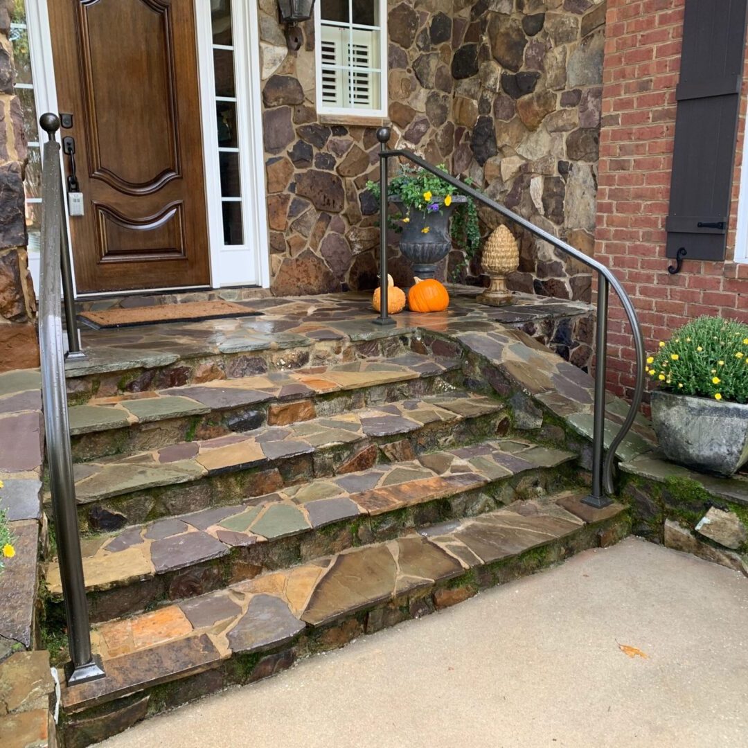 Fall Handrails picture 2